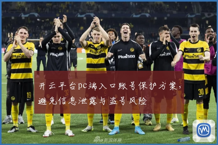 开云平台pc端入口账号保护方案,避免信息泄露与盗号风险