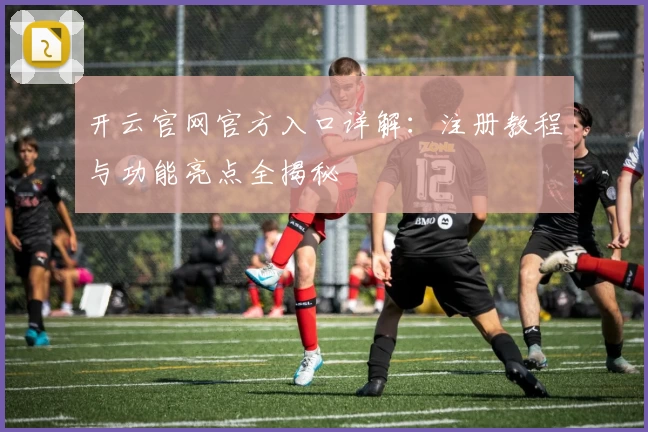 开云官网官方入口详解：注册教程与功能亮点全揭秘