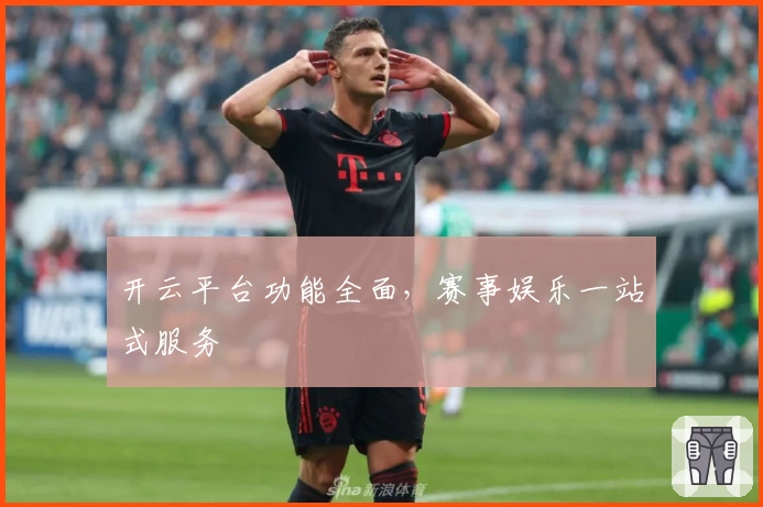 开云平台功能全面，赛事娱乐一站式服务
